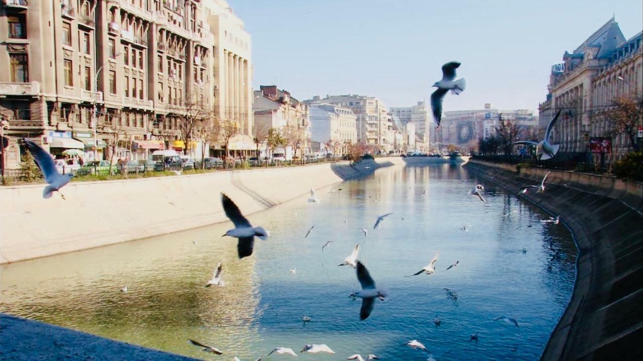 Eric Apartment 100 Бухарест Екстер'єр фото